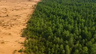 60 Yıllık Ağaçlandırma Çalışmalarıyla Çorak Arazi Dönüştürüldü