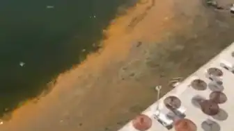 Marmara Denizi'ndeki Alg Patlaması Müsilaj Riski Taşıyor mu?