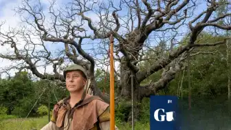 İngiltere'deki Sherwood Ormanı'nda 1.000 Yıllık 'Major Oak' Ağacı Hayatını Kaybetti