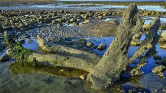 Kuzey Denizi'nde Yeni Keşif: Doggerland Hakkındaki Bilgiler Güncellendi