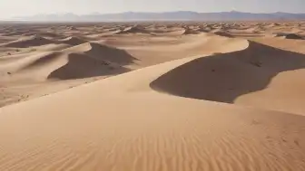 Ningxia Shapotou'da Acem Ceylanı Popülasyonunda İstikrarlı Artış Gözlemlendi