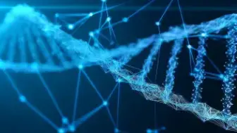 180 Yıl Sonra DNA ile Kimlikleri Belirlenen Denizcilerin Hikayesi