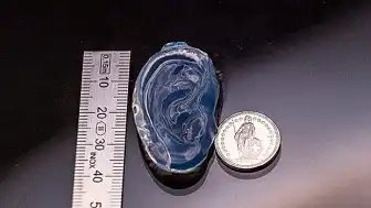 3D Yazıcı Teknolojisinde Yapay Organ Üretimine Yönelik Yeni Bir Dönem Başlıyor