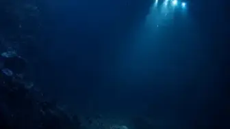 Okyanusun 6 Kilometre Altında Yeni Bir Deniz Salyangozu Türü Keşfedildi