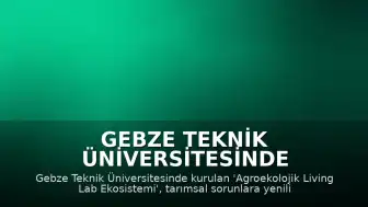 Gebze Teknik Üniversitesinde Tarımsal Sorunlara Yönelik Yenilikçi Ekosistem Hizmete Girdi