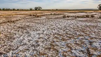 Murray-Darling Havzası'nda Tuzluluk Sorunu: Milyarlarca Dolarlık Yatırımlar ve Tarımsal Riskler