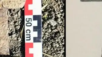 Norveç'te 6 Yaşındaki Çocuğun Keşfi: 1200 Yıllık Demir Çağı Kılıcı Bulundu