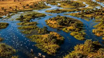 Okavango Nehri, Botsvana'da Çöl Ortasında Dev Bir Delta Oluşturuyor