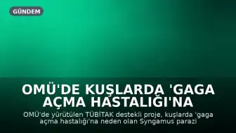 OMÜ'de Kuşlarda 'Gaga Açma Hastalığı'na Neden Olan Parazitler İnceleniyor