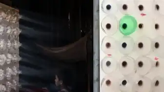 Bilimsel Araştırma Sonucu: Eco-Cooler Sisteminin Soğutma Performansı Hakkında Yeni Veriler