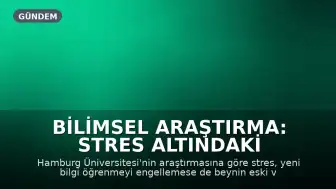 Bilimsel Araştırma: Stres Altındaki Bireylerin Bilgiler Arasında Bağlantı Kurma Yetisi Zayıflıyor