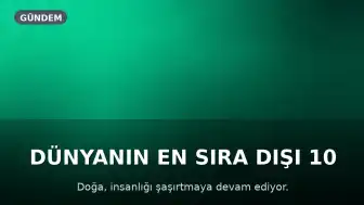 Dünyanın En Sıra Dışı 10 Doğa Olayı: Bilim Çözülenleri ve Çözülemeyenleri