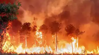 Fransa ve İspanya'daki Orman Yangınlarının Sebebi: Pyrocumulonimbus Bulutları