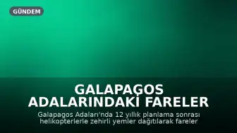 Galapagos Adalarındaki Fareler Helikopterlerle Yok Edildi, Ekosistem Yeniden Canlandı