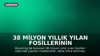 38 Milyon Yıllık Yılan Fosillerinin Sırrı Çözüldü: Yeni Bir Tür Keşfedildi