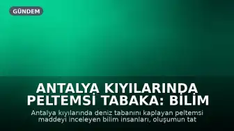Antalya Kıyılarında Peltemsi Tabaka: Bilim İnsanları Açıklıyor