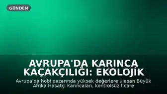 Avrupa'da Karınca Kaçakçılığı: Ekolojik Denge ve Altyapı İçin Tehdit Oluşturuyor