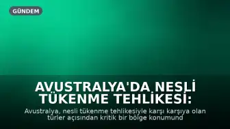 Avustralya'da Nesli Tükenme Tehlikesi: Numbat Umut Veriyor