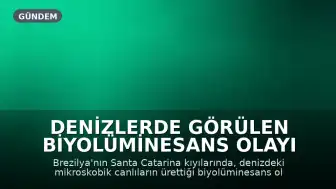 Denizlerde Görülen Biyolüminesans Olayı Mavi Işık Saçıyor