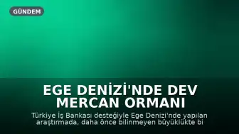 Ege Denizi'nde Dev Mercan Ormanı Keşfedildi