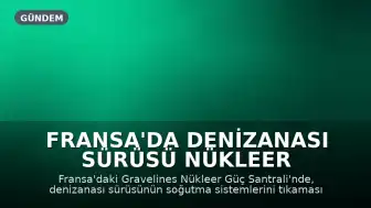 Fransa'da Denizanası Sürüsü Nükleer Santrali Durdurdu