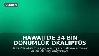Hawaii'de 34 Bin Dönümlük Okaliptüs Plantasyonları Yapı Malzemesi Olarak Değerlendirilecek