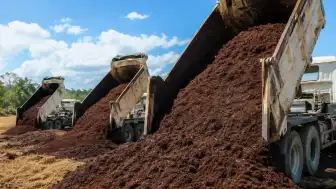 Kahve Posası, Bozulan Arazileri İki Yılda Ormana Dönüştürdü