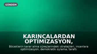 Karıncalardan Optimizasyon, Arılardan Demokratik Karar Alma: Böceklerden Öğrenilecek 5 Ders