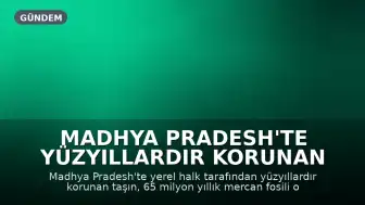 Madhya Pradesh'te Yüzyıllardır Korunan Taşın Sırrı Çözüldü: 65 Milyon Yıllık Mercan Fosili Çıktı