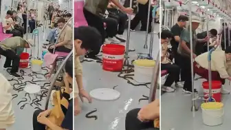 Metroda Yılan Paniği Yerine Pirinç Yılanbalığı Kovalamacası Yaşandı