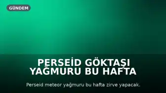 Perseid Göktaşı Yağmuru Bu Hafta Kuzey Yarım Küre'yi Aydınlatacak