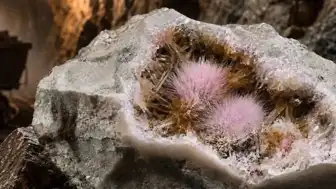 Rusya'da Yeni Bir Mineral Keşfedildi: "Kola Ashcroftine"