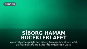 Siborg Hamam Böcekleri Afet Alanlarında Hayat Kurtarabilir