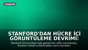 Stanford'dan Hücre İçi Görüntüleme Devrimi: 120 Nanometre Çözünürlük