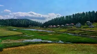 Turnalık Yaylası'nda Maden Eylemlerinde Sinyal Bozucu Cihaz Kullanımı
