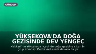 Yüksekova'da Doğa Gezisinde Dev Yengeç Görüntülendi