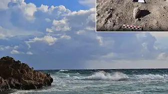 Ankara'da 66 Milyon Yıllık Deniz Canlısı Fosili Bulundu