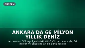 Ankara'da 66 Milyon Yıllık Deniz Fosil Bulundu: "Ankara'da Deniz mi Vardı?" Sorusu Yanıt Buldu