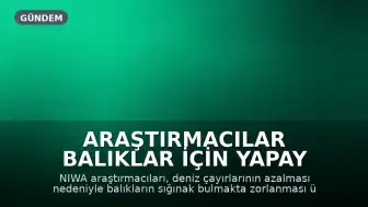 Araştırmacılar Balıklar İçin Yapay Deniz Çayırları Oluşturdu