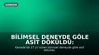Bilimsel Deneyde Göle Asit Döküldü: Ekolojik Felaket Yaşandı