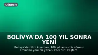 Bolivya'da 100 Yıl Sonra Yeni Bir Yabani Kedi Türü Keşfedildi: "Leopardus tilcayo"