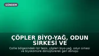Çöpler Biyo-Yağ, Odun Sirkesi ve Biyokömüre Dönüştürülüyor