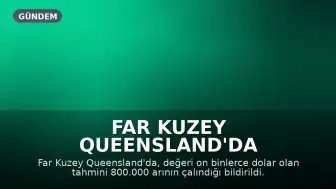 Far Kuzey Queensland'da 'Sofistike Operasyonla' 800.000 Arı Çalındı