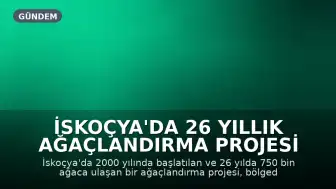 İskoçya'da 26 Yıllık Ağaçlandırma Projesi Beklenmedik Su Kıtlığına Yol Açtı
