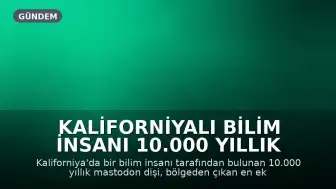 Kaliforniyalı Bilim İnsanı 10.000 Yıllık Mastodon Dişini Buldu