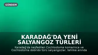 Karadağ'da Yeni Salyangoz Türleri Keşfedildi: Kendilerini Tamamen Kapatabilen Kabuk Yapısına Sahip