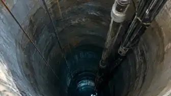 Michigan Havzası'nda 556 Metre Derinlikte Yeni Mantar Türleri Keşfedildi