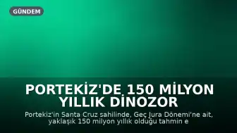 Portekiz'de 150 Milyon Yıllık Dinozor Yuvası Keşfedildi