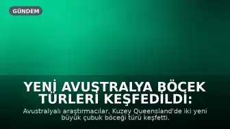 Yeni Avustralya Böcek Türleri Keşfedildi: Yanlış Kimliklendirme Ortaya Çıktı