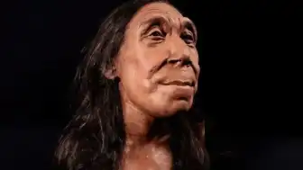 75 Bin Yıllık Neandertal Kalıntısında Şiddet Kanıtı: Ahşap Mızrakla Ölümcül Vuruş